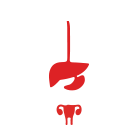 Natural Orifice Translumenal Solutions